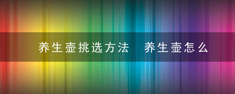 养生壶挑选方法 养生壶怎么挑选